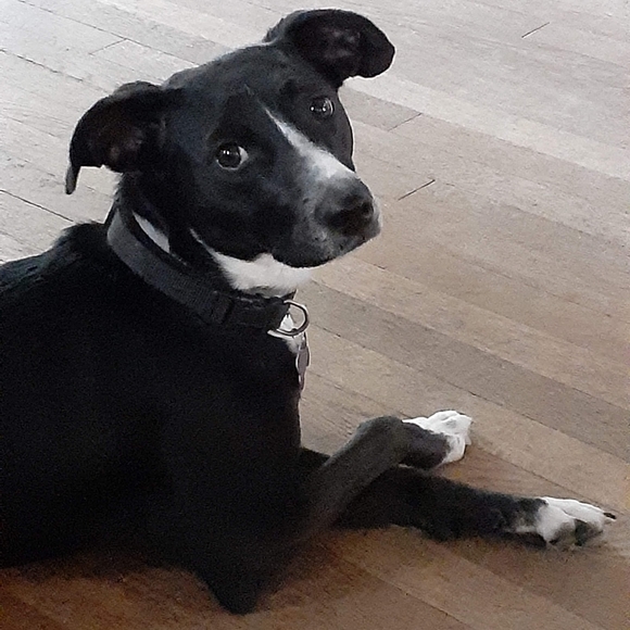 🇺🇦 Amanda B_Posh Ambassador - Picture 5 of 15